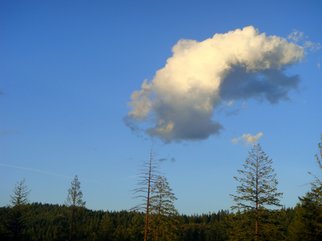 Debbi Chan: 'a lone cloud', 2010 Color Photograph, Clouds. Artist Description:                photos from Idaho.               ...