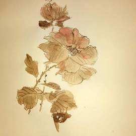 Debbi Chan Artwork a touched rose, 2015 Watercolor, Botanical