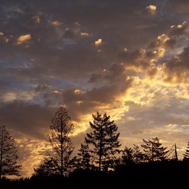 Debbi Chan: 'as the sky darkens', 2010 Color Photograph, Clouds. Artist Description:                       photos from Idaho.                      ...