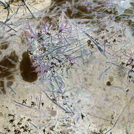 Debbi Chan Artwork ice negative view, 2013 Color Photograph, Seasons