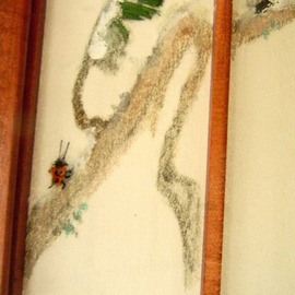 Debbi Chan: 'ladybug ladybug', 2011 Color Photograph, Botanical. Artist Description:       photos from idaho.      ...