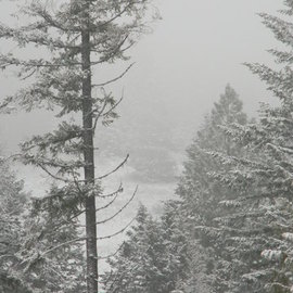 Debbi Chan: 'landscape with snow', 2011 Color Photograph, Equine. Artist Description:        photos from idaho       ...