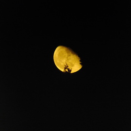 Debbi Chan Artwork once again the moon, 2013 Color Photograph, Astronomy