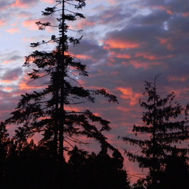 Debbi Chan: 'pinkness of evening', 2012 Color Photograph, Clouds. Artist Description:         photos from idaho        ...