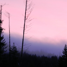 Debbi Chan: 'purple fog', 2010 Color Photograph, Clouds. Artist Description:      photos from idaho     ...