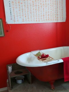 Debbi Chan: 'reds in the watercloset', 2014 Color Photograph, Equine. Artist Description:  Photos from Idaho.                                                                                                                                                                                                                                                                                                                                  ...