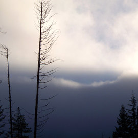 Debbi Chan: 'the fog is thick', 2010 Color Photograph, Clouds. Artist Description:           photos from idaho.          ...