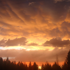 Debbi Chan: 'the sky explodes in red', 2010 Color Photograph, Clouds. Artist Description:        photos from idaho.                                              ...