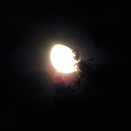 Debbi Chan Artwork tonight  the moon , 2013 Color Photograph, Astronomy