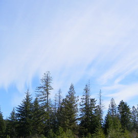 Debbi Chan: 'white streaks on blue sky', 2011 Color Photograph, Clouds. Artist Description:    photos from idaho. ...
