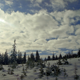 Debbi Chan: 'winter wonderland', 2009 Color Photograph, Clouds. Artist Description:       photos of idaho     ...