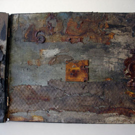 Rust Book By Mary-Ellen Campbell