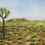 joshua desert By Mark Spitz