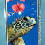 Imaginarium   Sea Turtle By Jeff Monsein