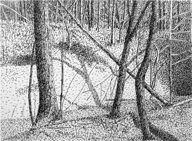 Keith Thrash  'Limestone Creek Bed', created in 1989, Original Drawing Other.