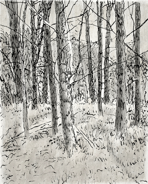 Keith Thrash  'Pines', created in 1998, Original Drawing Other.