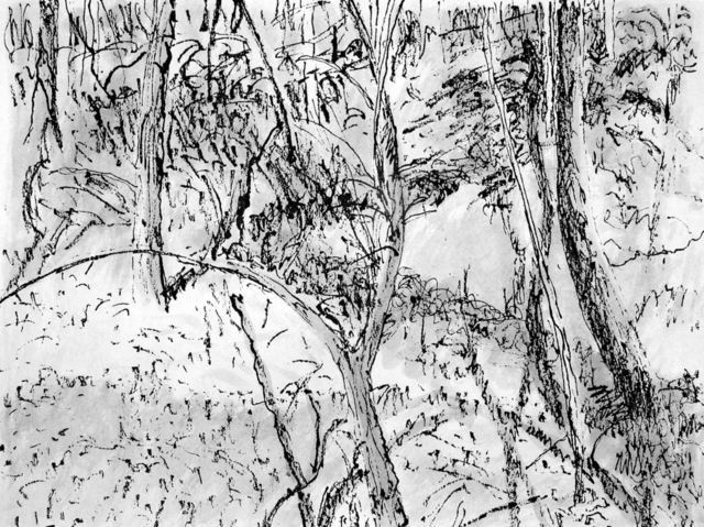 Keith Thrash  'Tangled Creek Bank', created in 1998, Original Drawing Other.