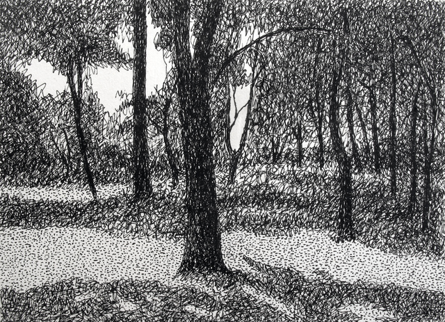 Keith Thrash  'Tree In Central Park', created in 1987, Original Drawing Other.