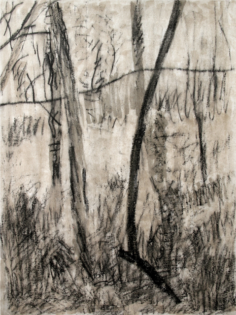 Keith Thrash  'Trees And Branch', created in 1998, Original Drawing Other.
