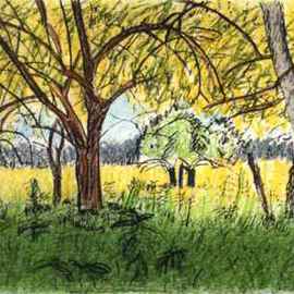 Keith Thrash: 'Trees and Field', 1998 Pencil Drawing, Landscape. Artist Description: Mock orange grove west of Demopolis, pencil and color pencil over copier print of pencil drawing....