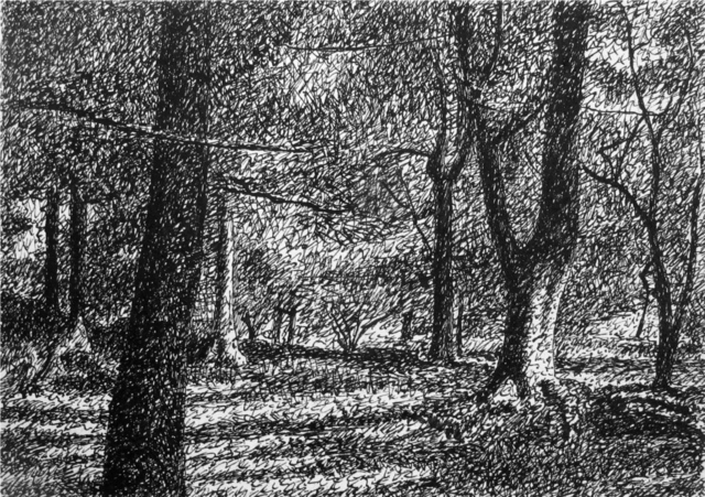 Keith Thrash  'Trees In Central Park', created in 1987, Original Drawing Other.