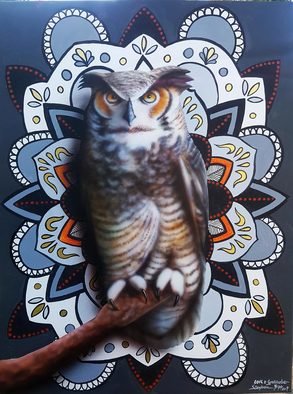 Stephen Bibb: 'owl mandala 2', 2019 Acrylic Painting, Mandala. The fascinating, mysterious bird- of- prey within the patterns of the mandala...