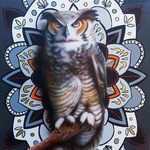 Owl Mandala 2, Stephen Bibb