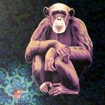 ape By Stephen Hall