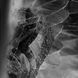 Stephen Mead Artwork Water Angel Excerpt 110, 2015 Mixed Media Photography, Spiritual