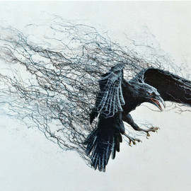 crow 5 By Steve Hunsicker