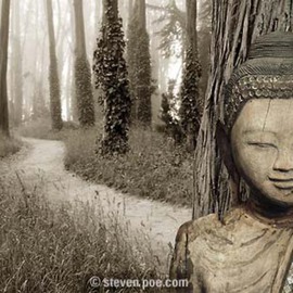 Steven Poe: 'Enlightened Path', 2001 Other Photography, Visionary. Artist Description: Composite image of a Buddha in a foggy forest with a path leading into the distance. The Buddha is from theMandalay Period, c1850 AD. ...