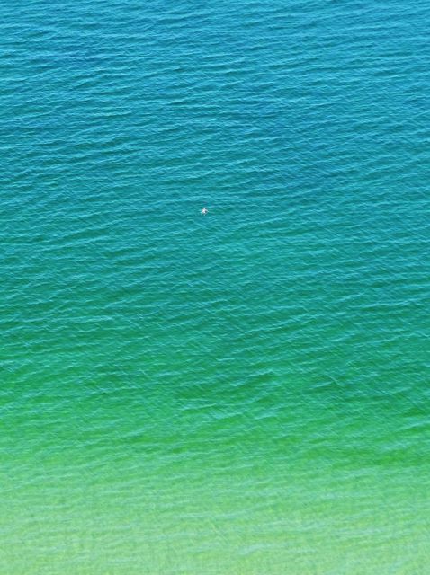 Artist Steve Scarborough. 'Swim Dot' Artwork Image, Created in 2015, Original Photography Digital. #art #artist