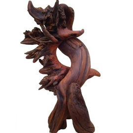 Captivated Redwood Abstract Sculpture, Daryl Stokes
