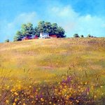 Hillside farm By Stuart Parnell