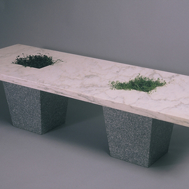 Jon-joseph Russo: 'planter coffee table', 2020 Stone Sculpture, Architecture. Artist Description: Planter Coffee Table, perfect for indoor, outdoor use.Add your own planting to create your own desired effects.The solid bases are equipped with a drainage system.16 H x 22 W x 60 LHoned White Marble Top Flamed Grey Granite Base. ...