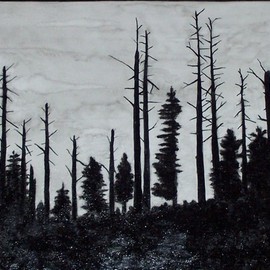 Janice Young: 'Evergreen', 2009 Oil Painting, Ecological. Artist Description:  Oil on canvas  ...
