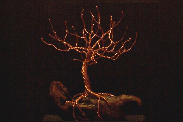 Artist Janice Young. 'Wood And Wire 5' Artwork Image, Created in 2008, Original Sculpture Mixed. #art #artist