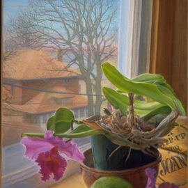 Sofia Wyshkind: 'Chronology of Nostalgia The Orchid', 1998 Oil Painting, Botanical. Artist Description:  The plant    ...