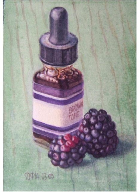 Sofia Wyshkind  'Serenade For Blackberry Brown Tone', created in 2000, Original Watercolor.