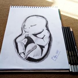 baby in womb charcoal drawing By Syed Waqas  Saghir