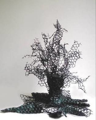 Sylvia Volpi: 'ROOTS AND THORNS I', 2005 Mixed Media Sculpture, Botanical. 