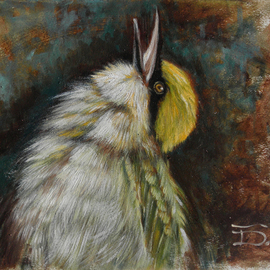 Green Bee Eater By Tal Dvir