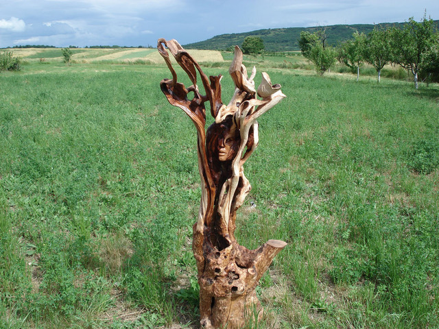 Tosic Aleksandar  'Rain Gatherer', created in 2008, Original Sculpture Wood.