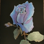 blue rose By Sean Mahoney
