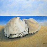 Mediterranean Shells By Tatyana Bondareva