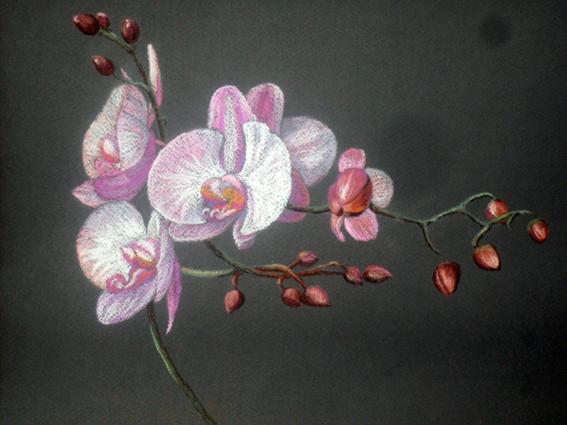 Tatyana Bondareva  'Orchids', created in 2011, Original Painting Other.