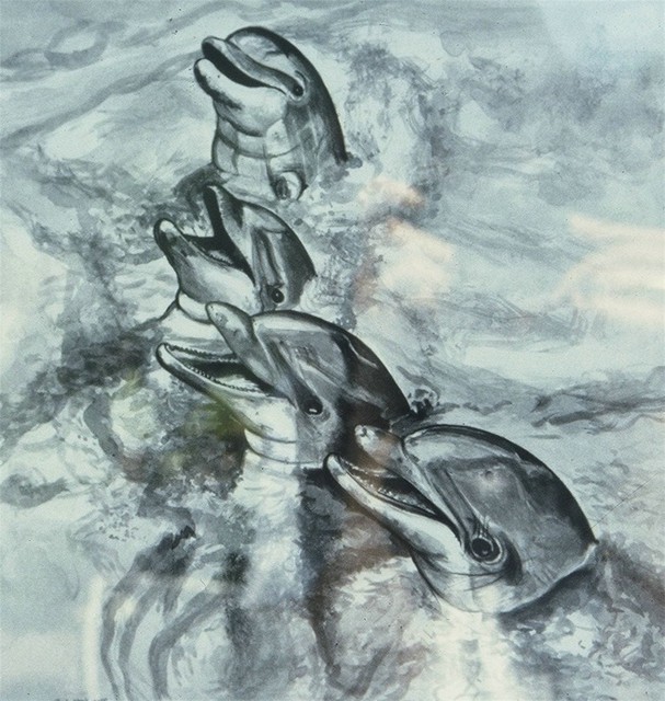 Terri Flowers  'Dolphins In Watercolor', created in 1987, Original Painting Other.