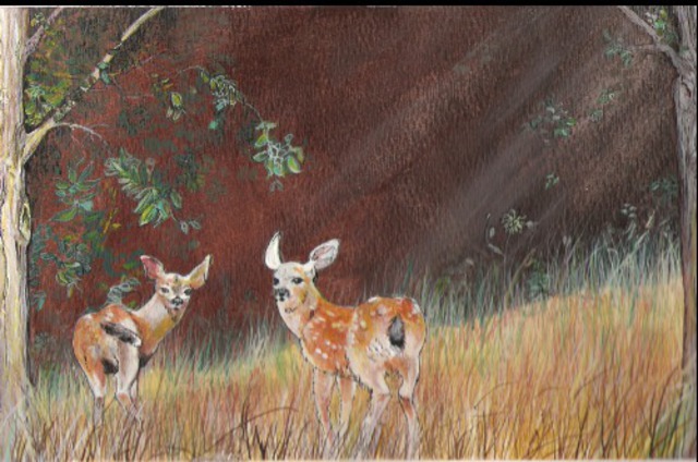 Terri Flowers  'Lil Deer In Sun', created in 2007, Original Painting Other.