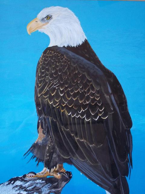 Teresa Peterson  'Bald Eagle', created in 2000, Original Painting Ink.