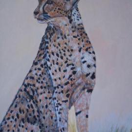 Cheetah By Teresa Peterson
